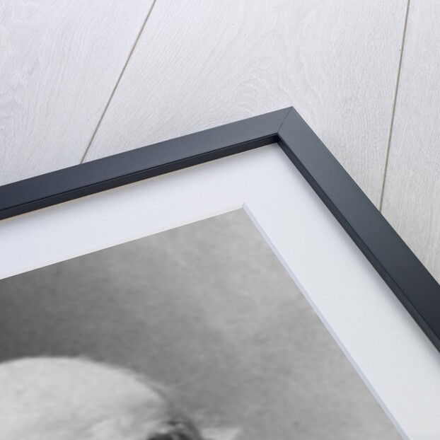 Portrait of Auguste Barthélemi Glaize, c.1890 by J. E. Tourtin