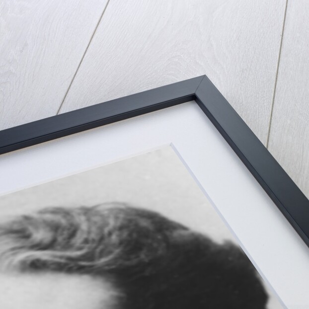 Portrait of Albert Guillaume by Eugene Pirou