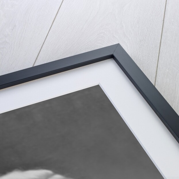 Auguste-Francois Gevaert by French Photographer