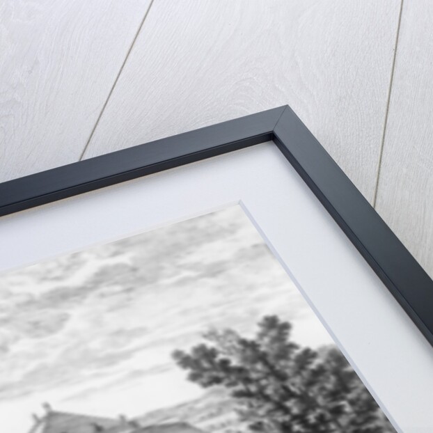 The Menagerie at Versailles by Adam Perelle