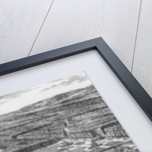 View of the Chateau de Versailles by Adam Perelle