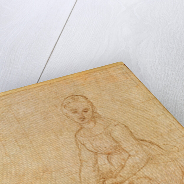 Study of the Virgin for 'La Belle Jardinière' by Raphael
