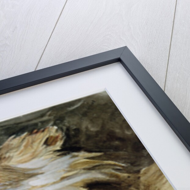 The Head of a Lion by Ferdinand Victor Eugene Delacroix