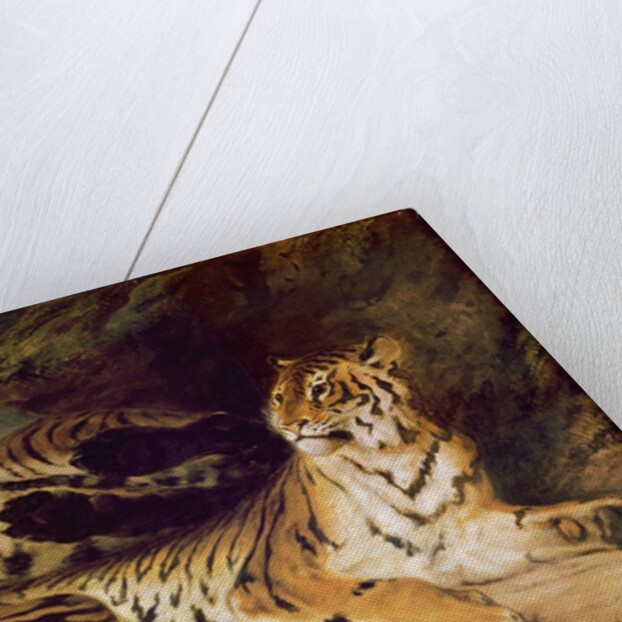 Young tiger playing with his mother, 1830 by Ferdinand Victor Eugene Delacroix