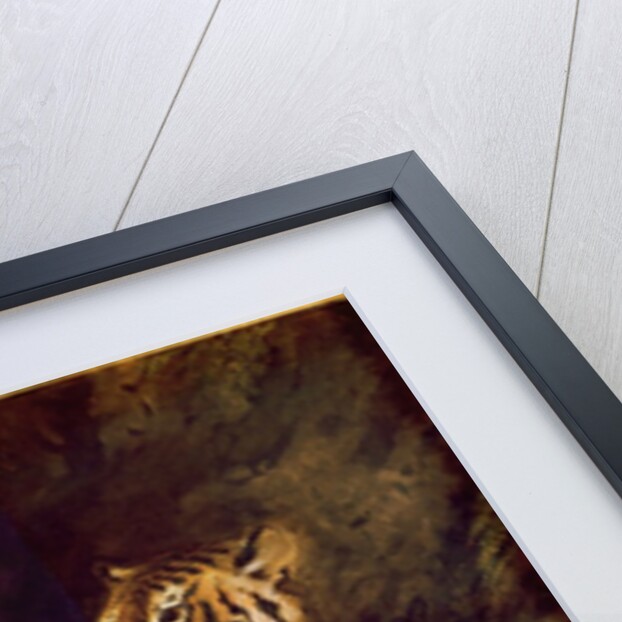 Young tiger playing with his mother, 1830 by Ferdinand Victor Eugene Delacroix