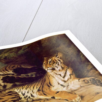 Young tiger playing with his mother, 1830 by Ferdinand Victor Eugene Delacroix