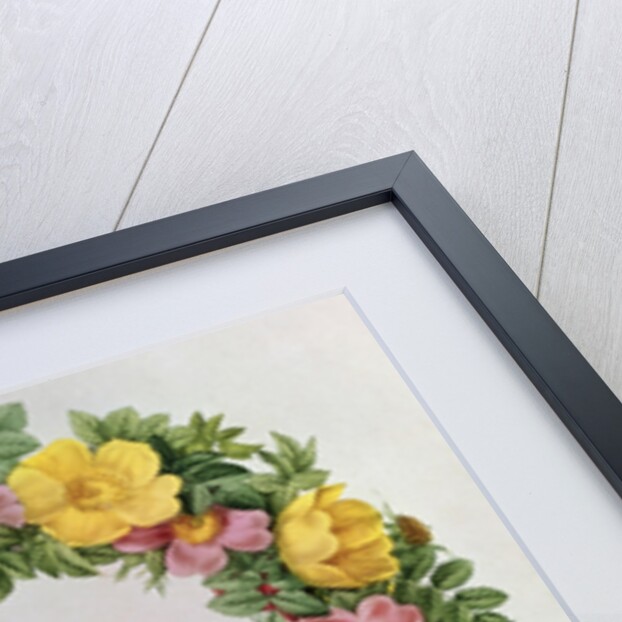 Claude-Antoine Thory 'Les roses', Frontispiece: Garland with an Epigraph of Ode V by the Greek Poet Anacreon, 1817 by Eustache Hyacinthe Langlois