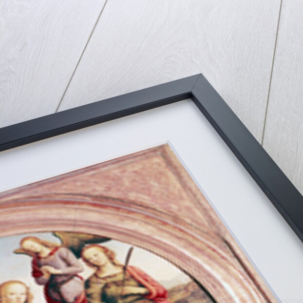 Madonna and Child with St. Rose and Catherine of Alexandra by Pietro Perugino