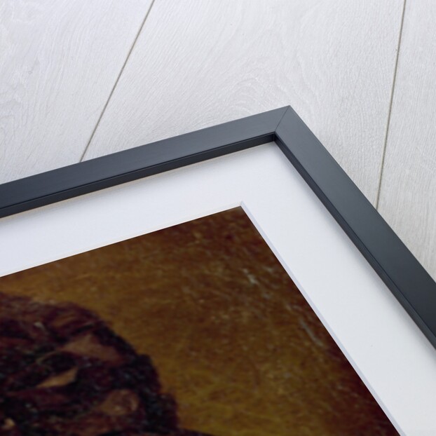 Portrait of the thought to be Duchess of Benaventa by Francisco Jose de Goya y Lucientes