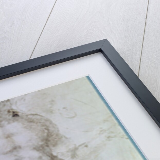 Study for Apollo standing nude with a cloak draped over his shoulders and the figure of a man carrying a burden by Michelangelo Buonarroti