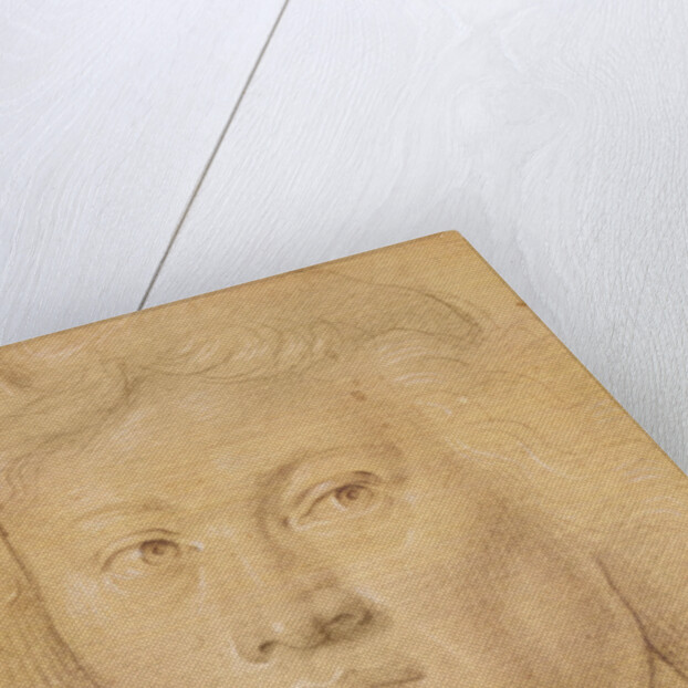 Head of an Angel by Sandro Botticelli