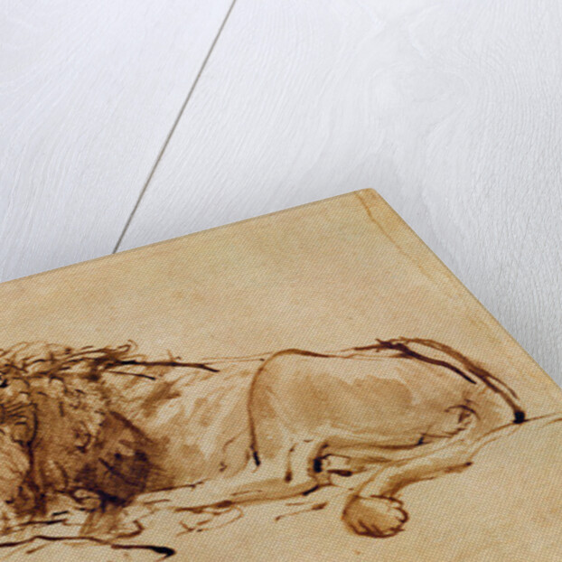 Lion Resting by Rembrandt Harmensz. van Rijn