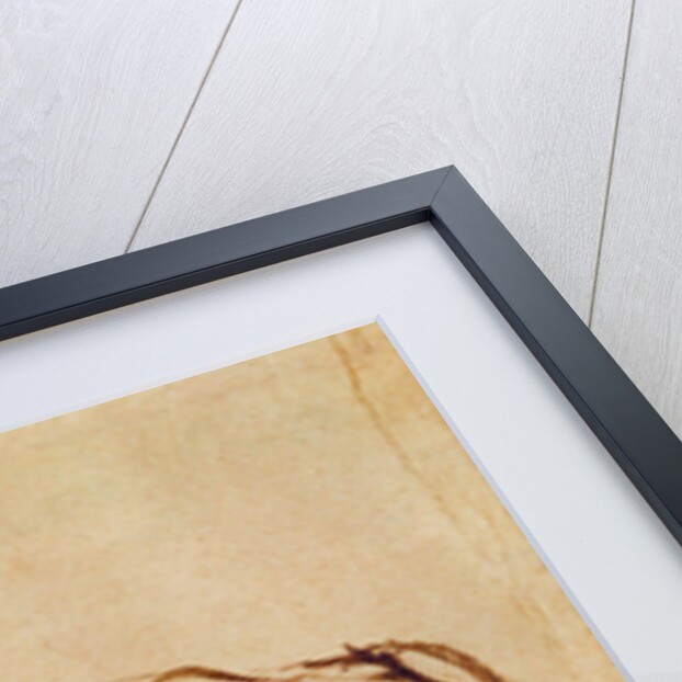 Lion Resting by Rembrandt Harmensz. van Rijn