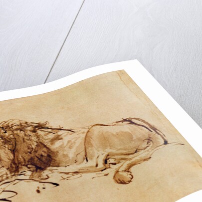 Lion Resting by Rembrandt Harmensz. van Rijn