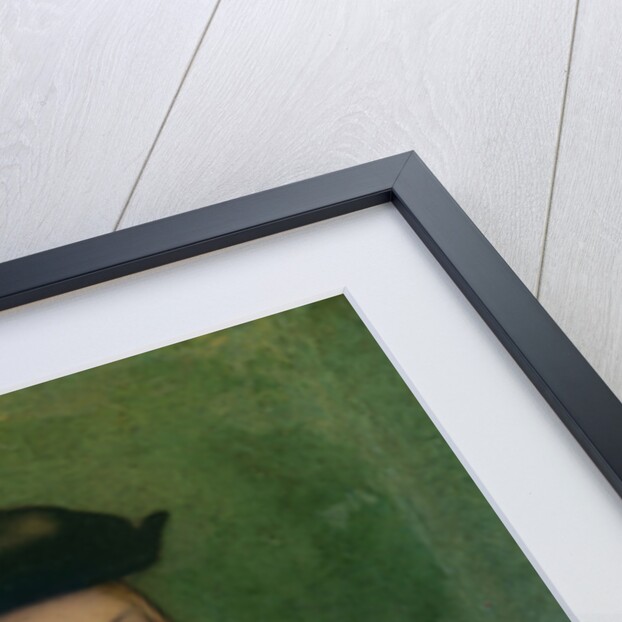 Portrait of a Young Man, c.1528-30 by Parmigianino (1503-40)