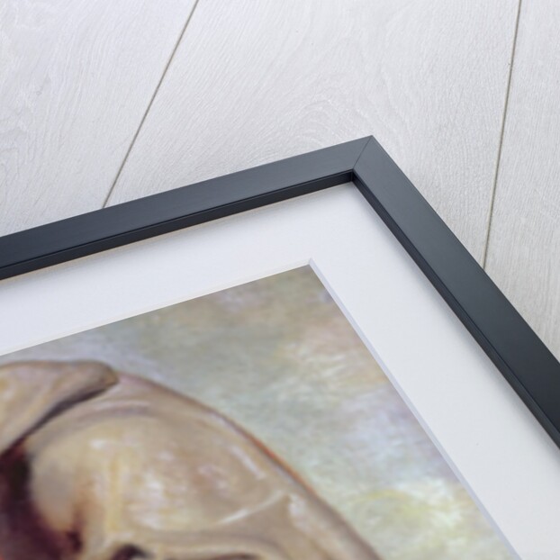 Saint Bonaventure, c.1620 by Peter Paul Rubens