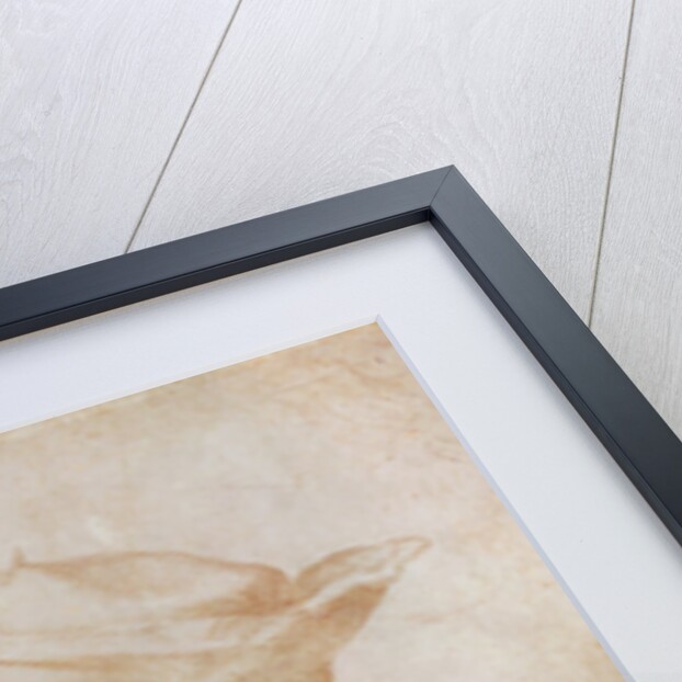 Portrait of Lucas van Leyden, Dutch painter and engraver, 1521 by Albrecht Dürer or Duerer