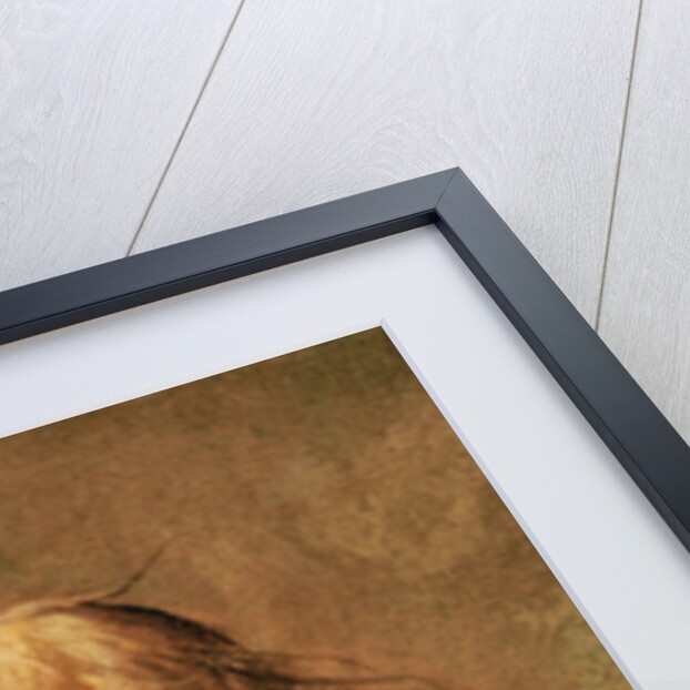 The hurdy-gurdy player by Georges de la Tour