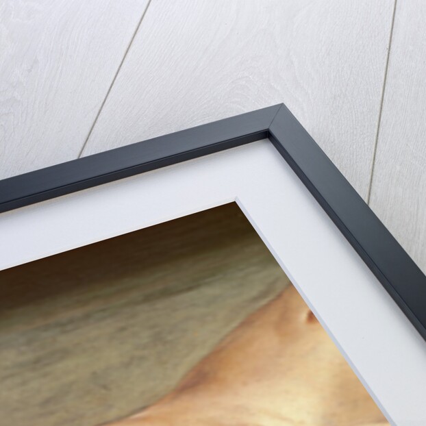 The Body of the Dead Christ, detail of the head, 1521 by Hans Holbein the Younger