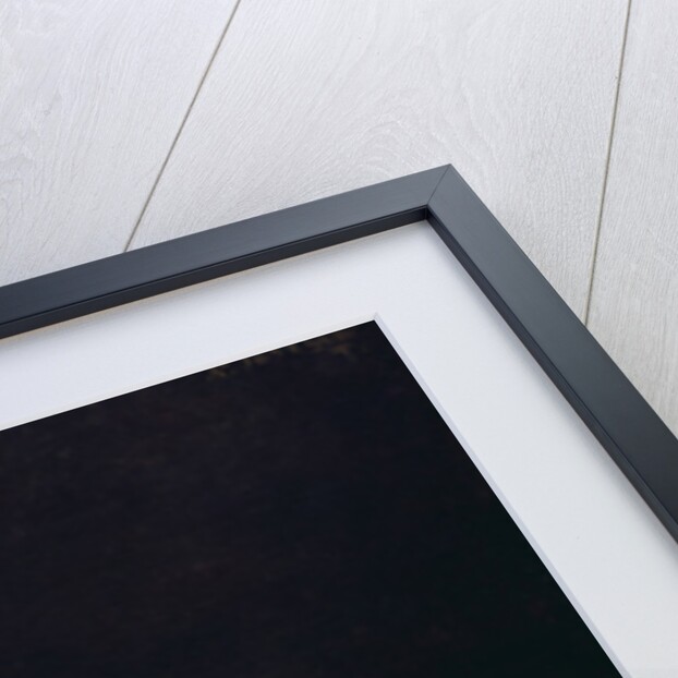 The Religious Order of Saint Bridget on her Deathbed, 1634 by Philippe de Champaigne