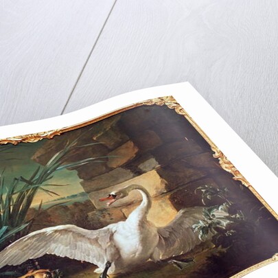 Dog and Swans by Jean-Baptiste Oudry