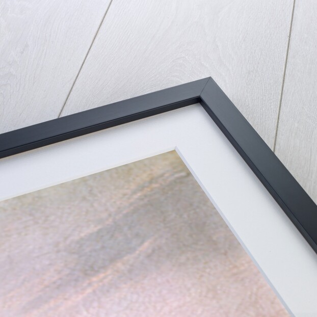 View of Zierikzee, 1618 by Esaias I van de Velde