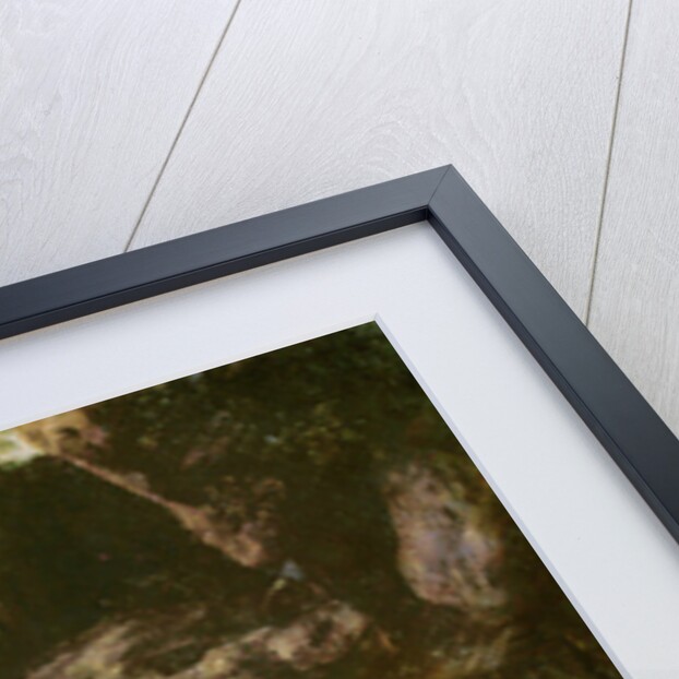 Paphnuce liberating Thais, after 1656 by Philippe de Champaigne