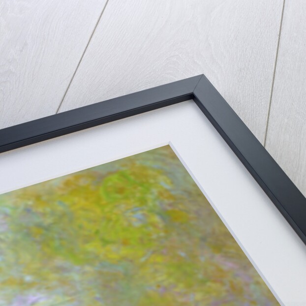 Nymphéas by Claude Monet