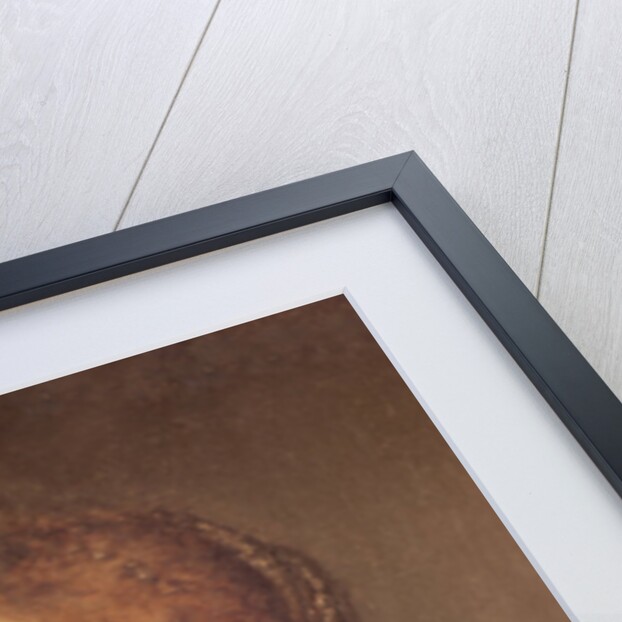 Portrait of a Woman by Rembrandt Harmensz. van Rijn