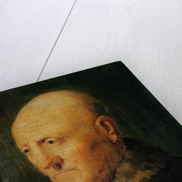 Portrait of an Old Man, known as Portrait of Hermann Gerritsz van Rijn, father of Rembrandt by Rembrandt Harmensz. van Rijn