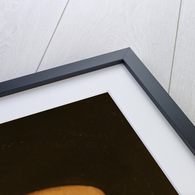 Portrait of John Frederick the Magnanimous, Elector of Saxony by Lucas the Elder Cranach