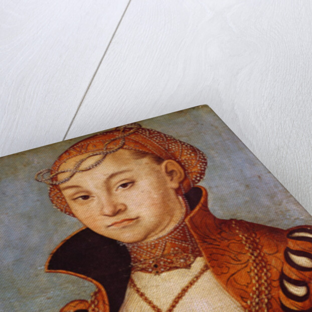 Portrait of a Noble Saxon Woman, 1534 by Lucas the Elder Cranach