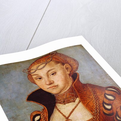 Portrait of a Noble Saxon Woman, 1534 by Lucas the Elder Cranach