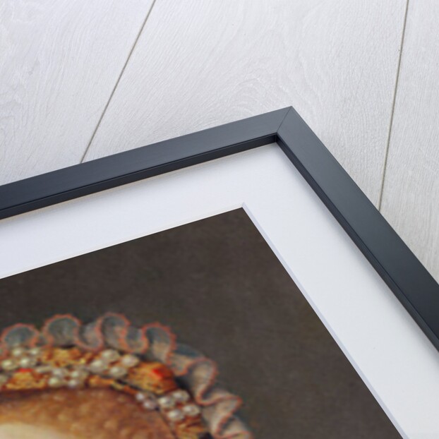 Portrait of Anne de Pienne, lady in waiting to Mary Stuart, c.1560 by Francois Clouet