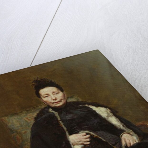 Madame Cogghe, 1890 by Remy Cogghe