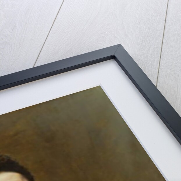 Madame Cogghe, 1890 by Remy Cogghe