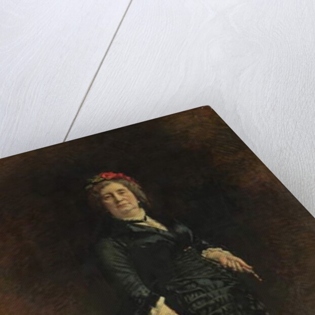 Portrait of a Lady, 1882 by Leon Joseph Florentin Bonnat