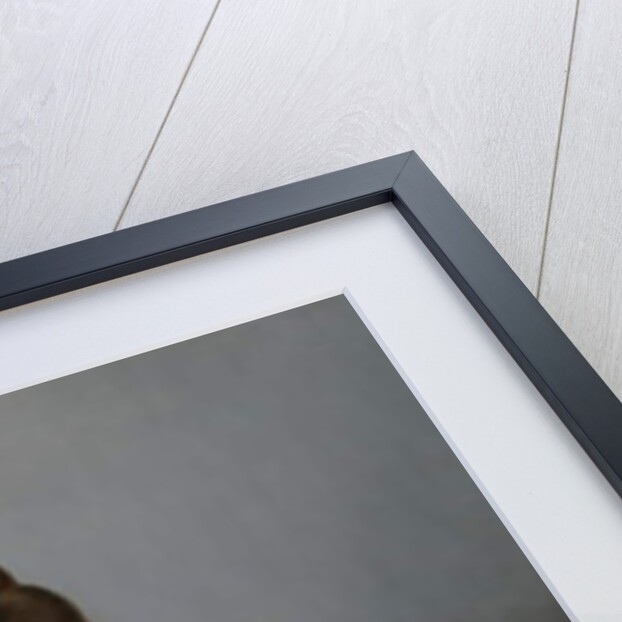 Portrait of a Lady, c.1830 by Ferdinand Wachsmuth