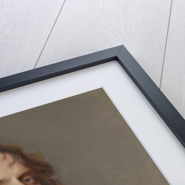 Portrait of Nicolas van der Haer, 1661 by Adriaen Hanneman