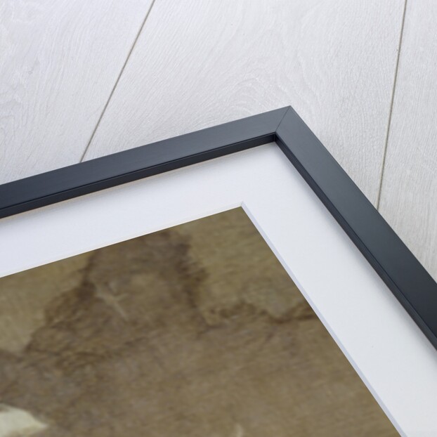 The Phantom of Liberty by Henri Jean Guillaume Martin