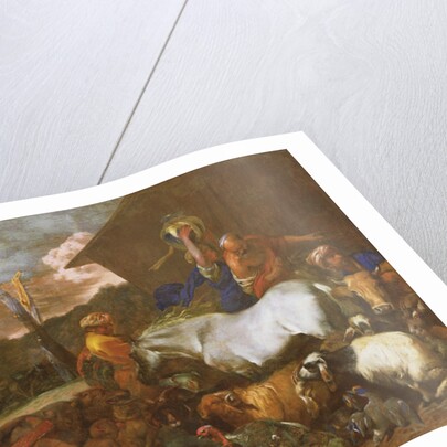 Entering the Ark by Italian School