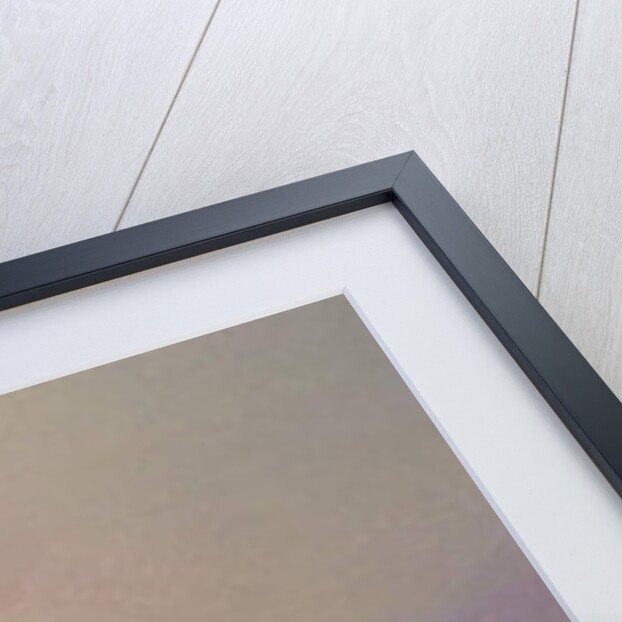 The Menhir by Fernand Loyen du Puigaudeau