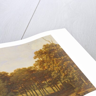 Road in the Woods by Joris van der Haagen or Hagen