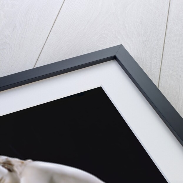 Out of the Bath by Jean Baptiste Paul Cabet