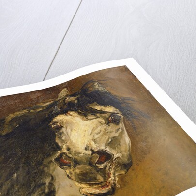 Head of a Horse by Alfred Roll