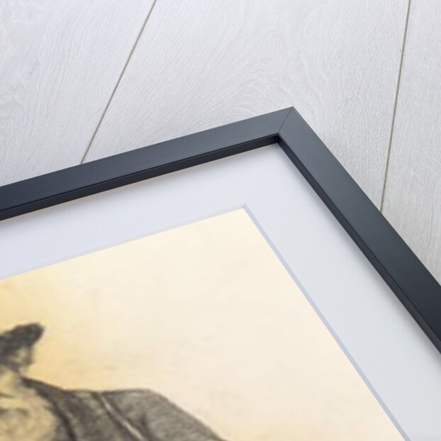 The Pedlar by Andre Collin