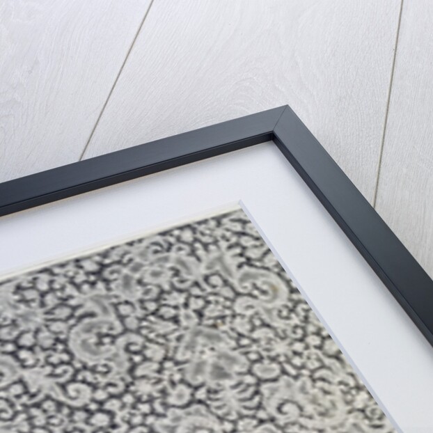 Aube, Lace from Brussels, 1725-1730 by Flemish School