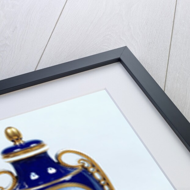 A Pair of Sèvres Vases with decorative floral medallions by French School