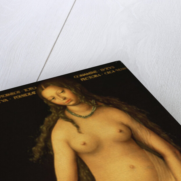 Venus and Cupid, 1509 by Lucas the Elder Cranach