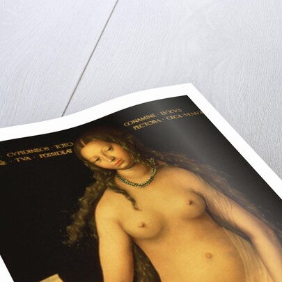Venus and Cupid, 1509 by Lucas the Elder Cranach